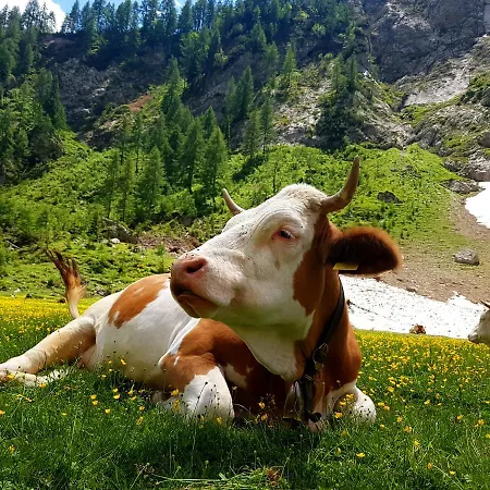 Appartamento Tabié Palue