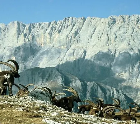 Appartamento Tabié Palue Rocca Pietore